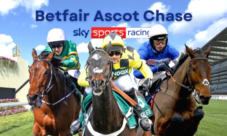 Betfair Ascot Chase: Shishkin, Fakir D'oudairies and Pic D'Orhy among 13 entered in Grade One live on Sky Sports Racing | Racing News
