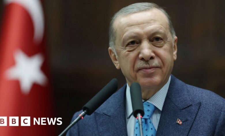 Erdogan tells Sweden not to expect Nato bid support