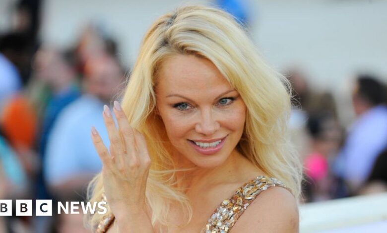 Pamela Anderson memoir lifts lid on fame and heartbreak