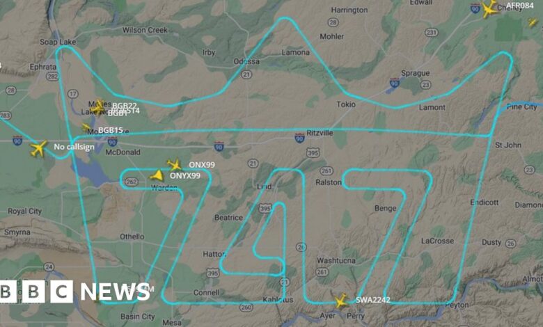 Boeing 747: Last plane delivered in regal send-off