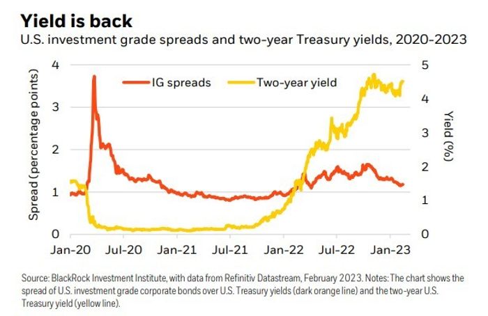 Bonds are right and stocks are wrong. Here's what you should do about it, says BlackRock