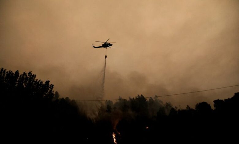 Dozens of wildfires torch forests in Chile, death toll at 22