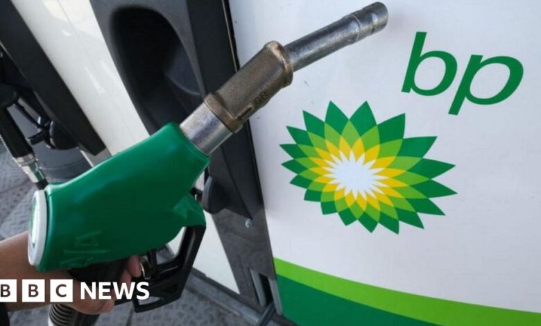 Energy giant BP sees record profits of $28bn