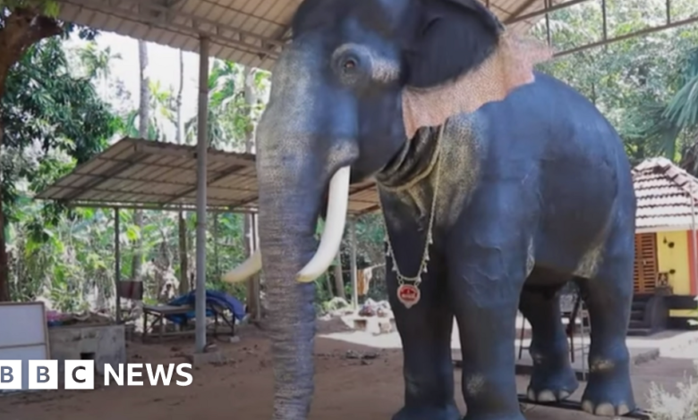 Indian temple replaces elephant with robot for rituals