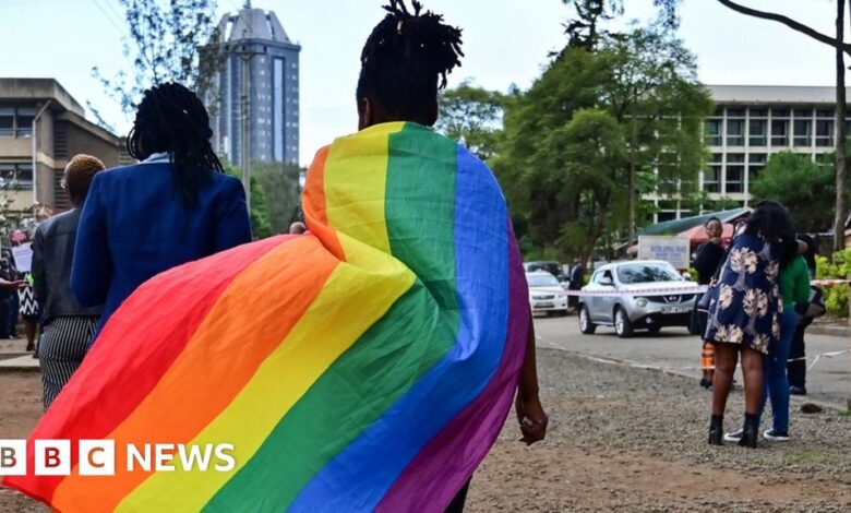 Kenya wrong to ban LGBT rights groups from registering - Supreme Court