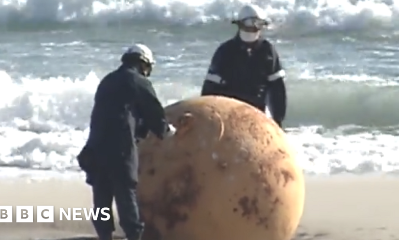 Mystery sphere found on beach perplexes Japan