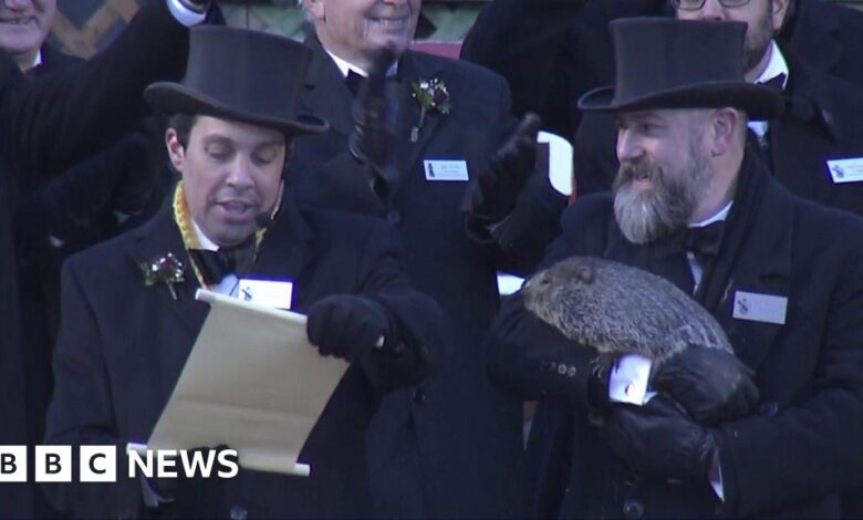 Punxsutawney Phil is not the only furry forecaster