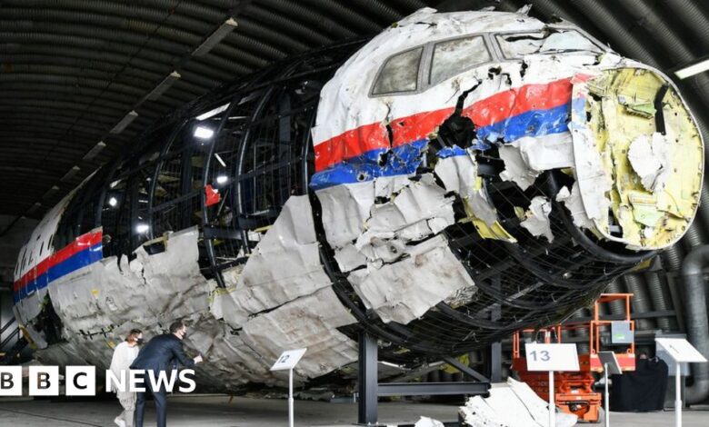Putin 'supplied' MH17 missile - investigators