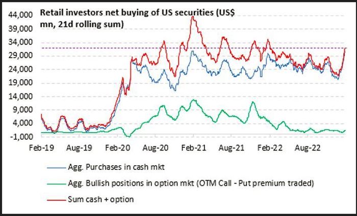 Yes, retail investors are back, but they only have eyes for Tesla and AI right now.