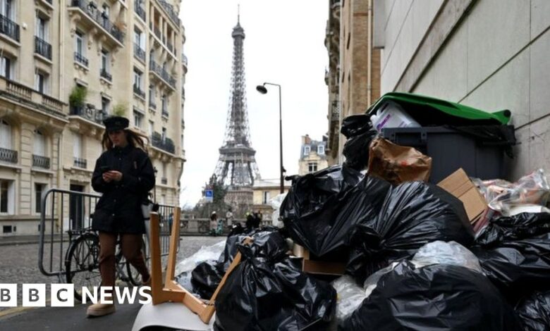 French bin strike: Paris holds its nose as waste piles up