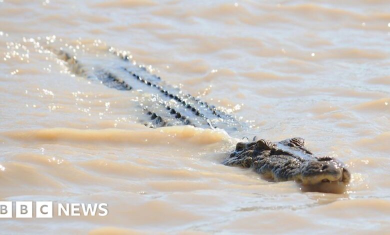 Teenager bitten by crocodile in Australian floods