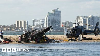 Australia helicopter collision: Woman used Sea World pilot's name to avoid driving fine