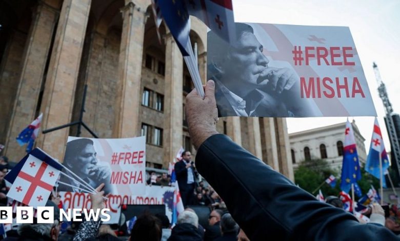 Mikheil Saakashvili: Thousands join mass anti-government rally in Georgia