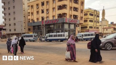 Sudan evacuation: The painful dilemma facing Khartoum's residents - stay or go?