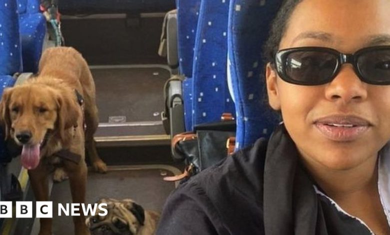 Sudan fighting: On a bus to Egypt with Mario the pug