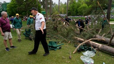 Play during the second round at The Masters was suspended shortly after a tree fell at the 17th hole at Augusta National in high winds on Friday