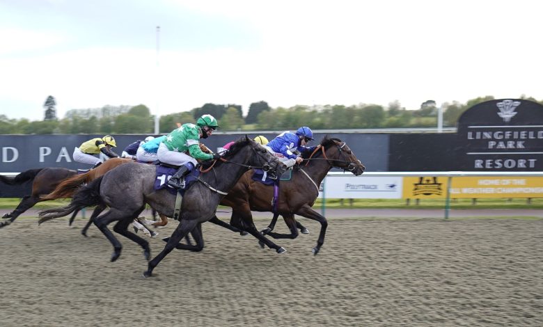 Lingfield Trials Day on Sky Sports Racing: Meeting switched to all-weather track after waterlogging | Racing News